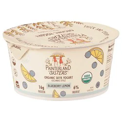 Painterland Sisters Icelandic Style Skyr Blueberry Lemon Organic Yogurt - 5.3 Oz