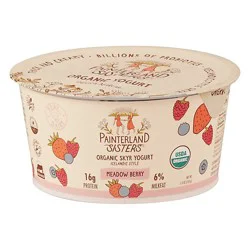 Painterland Sisters Icelandic Style Skyr Meadowberry Organic Yogurt - 5.3 Oz