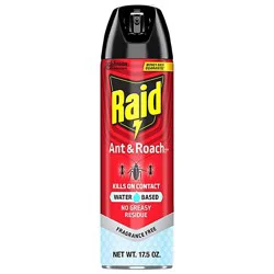 Raid Ant And Roach Killer 26 Water Based - 17.5 Oz