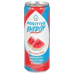 Positive H20 Beverage Watermelon Mania - 12 Fl. Oz.