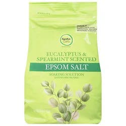 Signature Select/care Eucalyptus Spearmint Epsom Salt 3 Lb - 3 Lb.