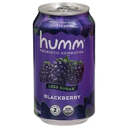 Humm Blackberry Kombucha - 12 Fl. Oz.