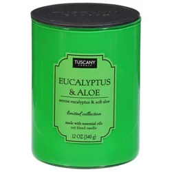 Eucalyptus And Aloe 12 Oz Candle - 12 Oz
