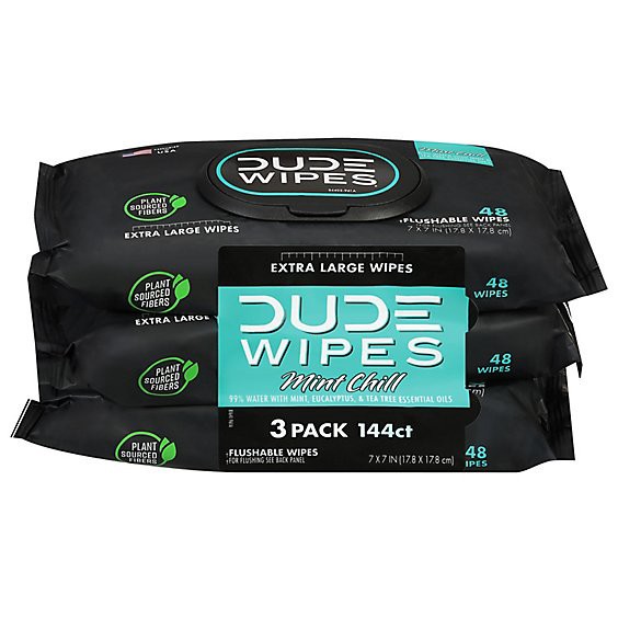 slide 1 of 1, Dude Wipes Dispenser Pack Mint Chill 3 Pack - 144 Count, 3 ct; 48 ct