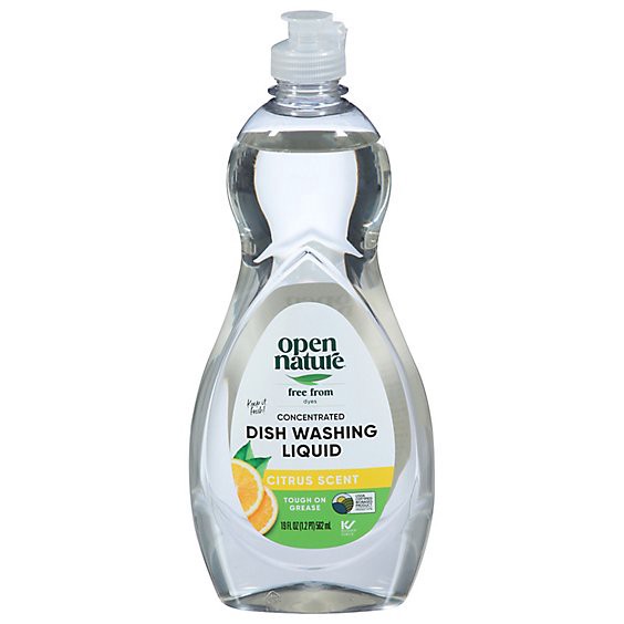 slide 1 of 1, Open Nature Dish Washing Liquid Citrus - 19 Fl. Oz., 19 fl oz