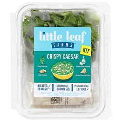 Little Leaf Farms Caesar Salad Kit - 7.4 Oz