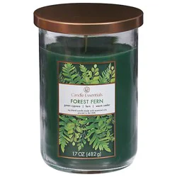 Candle Essentials Scented Jar Candle Forest Fern - 17 Oz