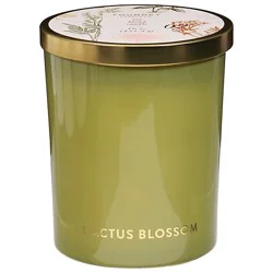 Foundry Candle Cactus Blossom - 16 Oz