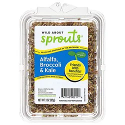 Wild About Sprouts Alfalfa Broccoli Kale - 3 Oz.