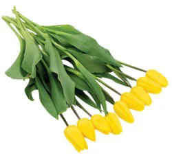 Yellow Tulips Bunch - Each