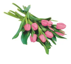 Pink Tulips 9 Stem - Each