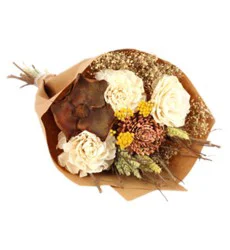 Bright And Beautiful White And Blush Eternal Elegance - Each