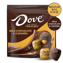 Dove Milk Chocolate Caramel Promises - 6.74 Oz.