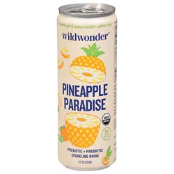 Pineapple Paradise Sparkling Prebiotic - 12 Fl. Oz