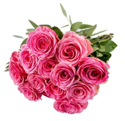 Rose Definitive 70 30 Bouquet Dozen - Each