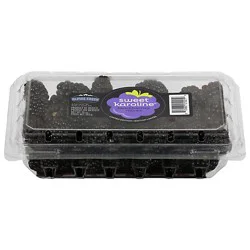 Signature Select Blackberries Sweet Karoline - 10 Oz