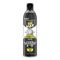 Raid Max Foaming Wasp & Hornet 16.5 Oz - 16.5 Oz