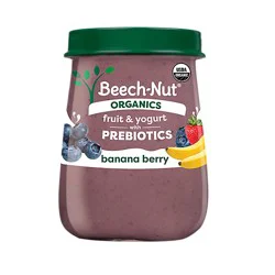 Beech-Nut Organic Fruit And Yogurt With Prebiotics Banana Berry Jar - 4 Oz