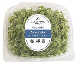 Arugula Microgreens Organic - 1.75 Oz