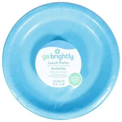 Amscan 8.5 Inch Lunch Plates Caribbean Blue - 16 Count