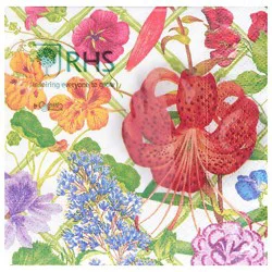 Floral Trellis Cocktail Napkin - Ea