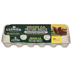 Clover Eggs Pasture Raised Large Brown - 12 Ct