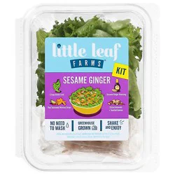 Little Leaf Farms Sesame Ginger Kit 6.45oz - 6.45 Oz