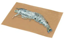 Shrimp 15-20 Ct Head On Iqf 24 Oz - 24 Oz