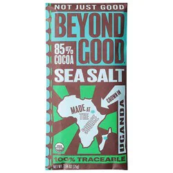 Beyond Good Sea Salt Chocolate - 2.64 Oz