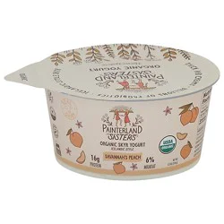 Painterland Sisters Yogurt Skyr Style Peach - 5.3 Oz