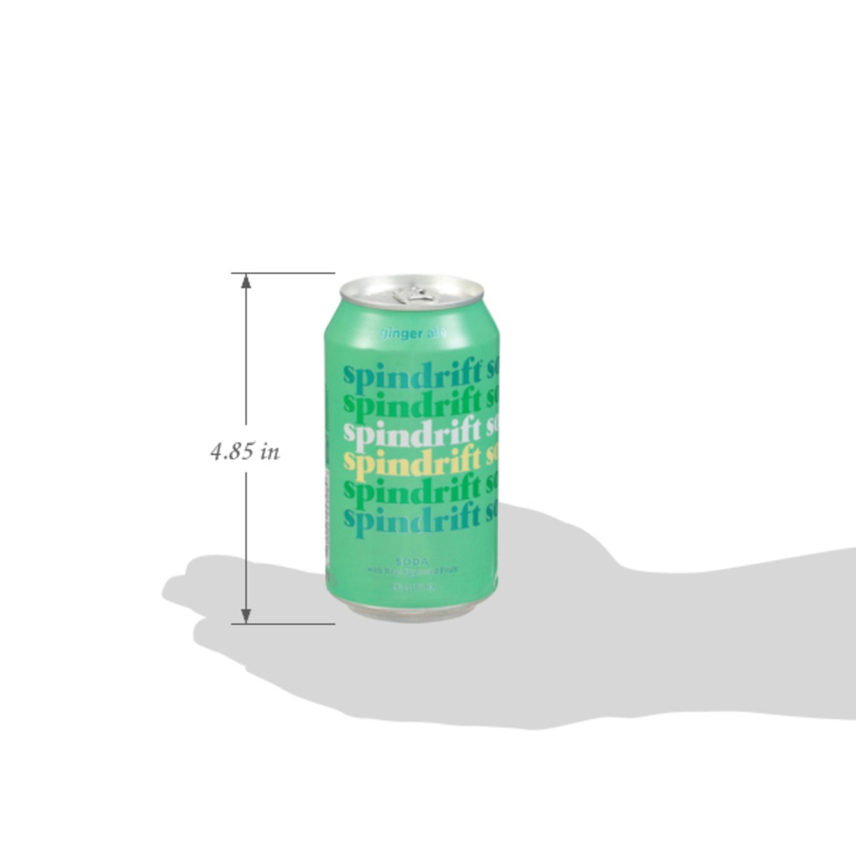 slide 11 of 12, Spindrift Soda Ginger Ale 12fz - 12 Fz, 12 fl oz