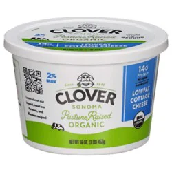 Clover Organic Sour Cream 16oz - 16 Oz