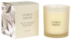 Overjoyed Boutique Box Candle Tan - 6 Oz