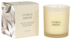 Overjoyed Boutique Box Candle Tan - 6 Oz