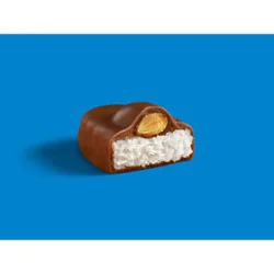 Almond Joy Milk Chocolate Coconut & Almond Snack Size Bar Peg Bag - 4.8 Oz
