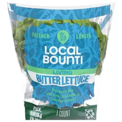 Local Bounti Living Butter Conv Lettuce - Ea