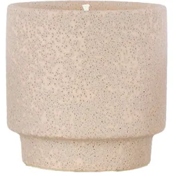 Overjoyed Boutiqe Ceramic Candle Amber Woods - 8 Oz