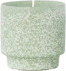 Overjoyed Boutiqe Ceramic Candle White Aloe & Sage - 8 Oz