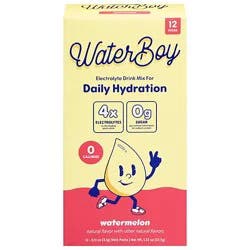 Waterboy Daily Watermelon 12pkt - 1.27 Oz