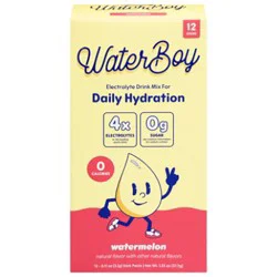 Waterboy Daily Watermelon 12pkt - 1.27 Oz