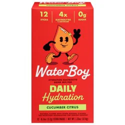 Waterboy Daily Cucumber 12pk - 1.35 Oz