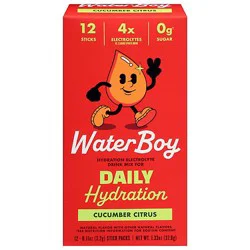 Waterboy Daily Cucumber 12pk - 1.35 Oz