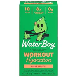 Waterboy Workout Fruit Punch 10pkt - 2.3 Oz