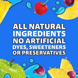 Capri Sun Pacific Cooler Mixed Fruit Drink Blend - 12 Fl. Oz.