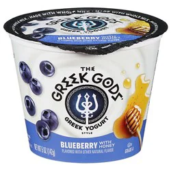 Greek Gods Blueberry Greek Yogurt 5oz - 5 Oz