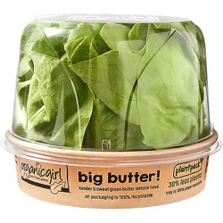 Organic Girl Big Butter Lettuce Head - Ea