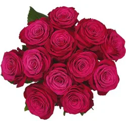 Supreme Dozen Roses 50cm - Each