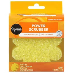 Signature Select Power Scrubber 1 Ea - 1 Ea