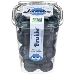 Fruitist Jumbo Blueberry Snack Cups 4oz - 4 Oz