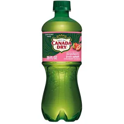 Canada Dry Fruit Splash Strawberry 20fz - 20 Fz